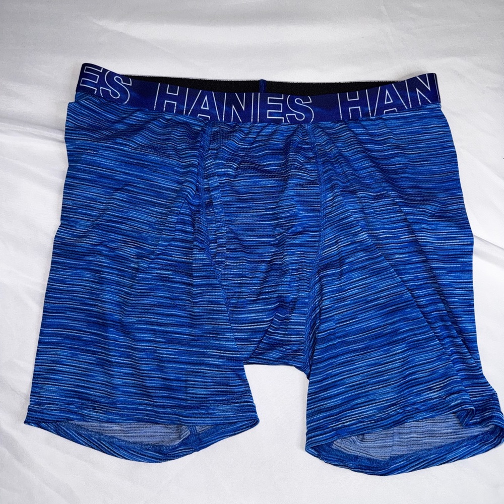Hanes Men's Blue Boxer Briefs
